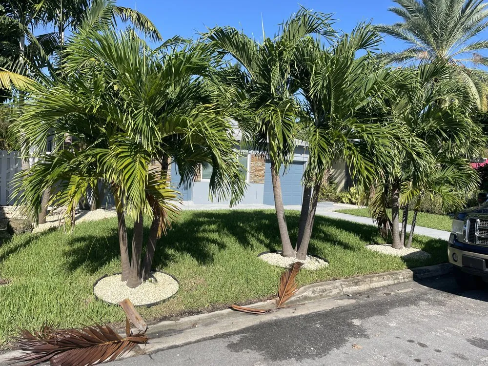 Top-rated lawn care service in Wilton Manors, FL - Angler Lawn & Landscape