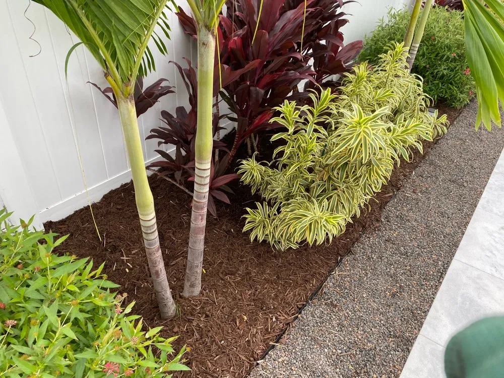 Affordable outdoor landscaping in Wilton Manors, FL by Angler Lawn & Landscape