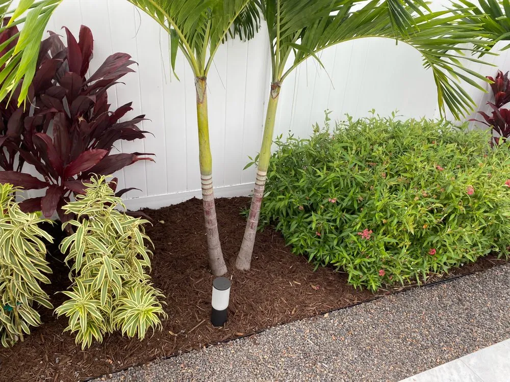 Reliable yard maintenance for outdoor upgrades across Wilton Manors, FL - Angler Lawn & Landscape