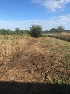 Trusted lawn care service in Sarasota, FL - Anglo American Services