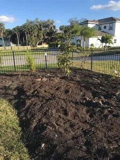 Custom garden landscaping in Sarasota, FL - Anglo American Services