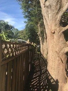 Local yard cleanup service experts serving Sarasota, FL - Anglo American Services