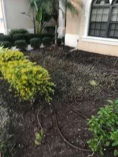Local landscape installation in Sarasota, FL by Anglo American Services