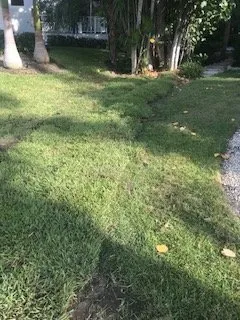 Custom garden landscaping for residential properties across Sarasota, FL - Anglo American Services