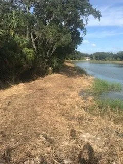 Custom residential landscaping in Sarasota, FL by Anglo American Services