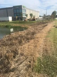 Top-rated residential landscaping in Sarasota, FL by Anglo American Services