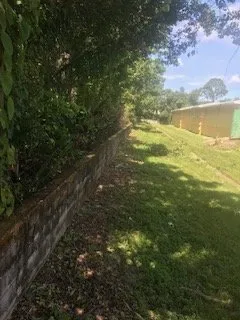 Trusted lawn care service experts serving Sarasota, FL - Anglo American Services