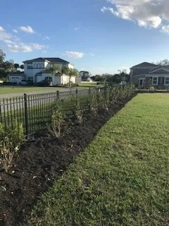 Top-rated yard cleanup service for year-round maintenance in Sarasota, FL by Anglo American Services