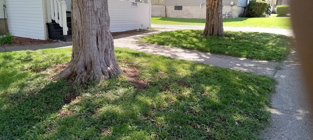 Local residential landscaping experts serving Beloit, WI - Angown Landscaping