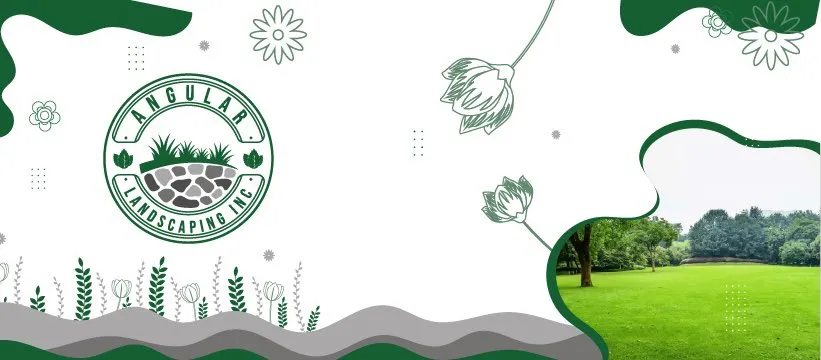 Reliable lawn care service for year-round maintenance across Hayward, CA - Angular Landscaping