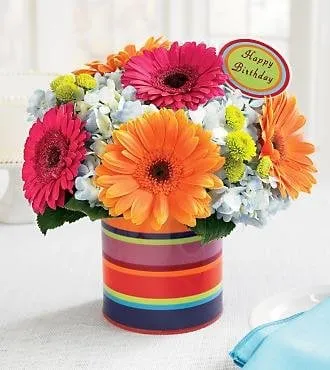 Affordable yard maintenance for year-round maintenance across Hayward, CA - Angular Landscaping