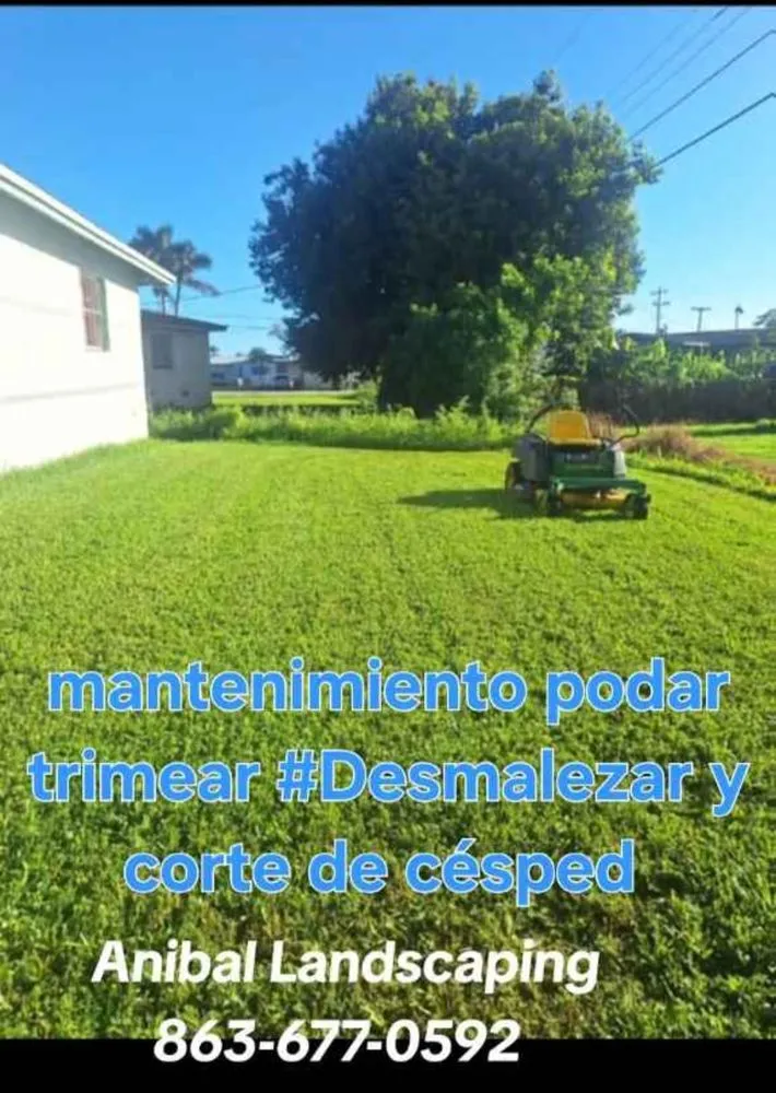 Professional landscape installation in Clewiston, FL - Anibal Landscaping