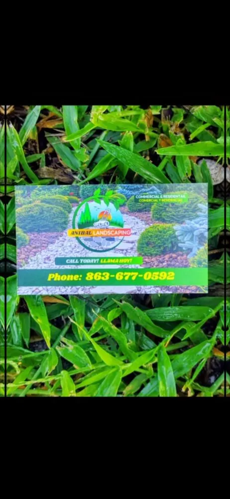 Affordable outdoor landscaping for homes in Clewiston, FL by Anibal Landscaping