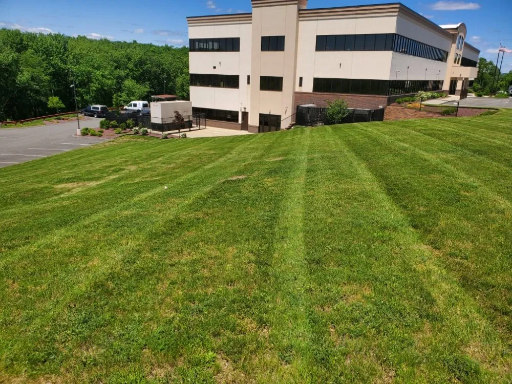 Professional residential landscaping for residential properties across Meriden, CT - Anita's Landscaping