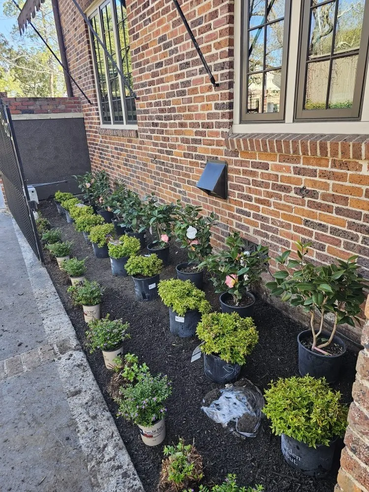 Affordable outdoor landscaping experts serving Houston, TX - Anival's Landscaping