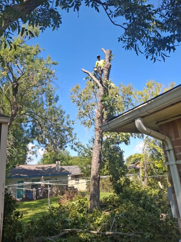 Trusted landscape installation experts serving Houston, TX - Anival's Landscaping