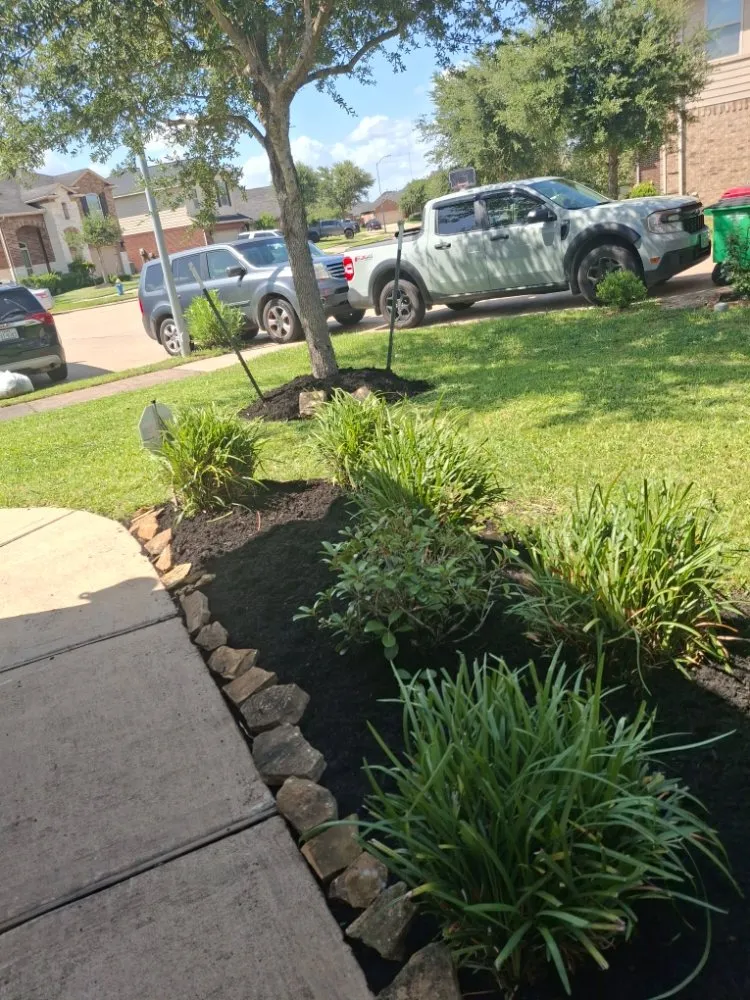 Local landscape design for year-round maintenance in Houston, TX by Anival's Landscaping