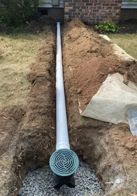 Reliable yard cleanup service in Houston, TX by Anival's Landscaping