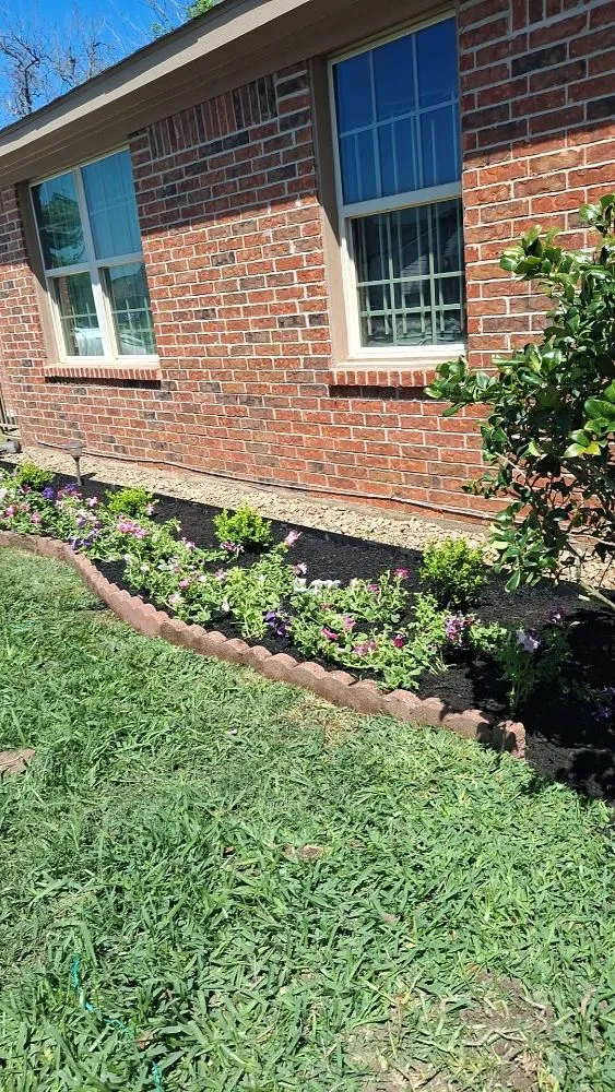 Reliable yard cleanup service near you across Houston, TX - Anival's Landscaping