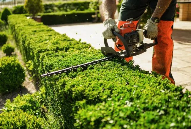 Local landscaping services experts serving Houston, TX - Anival's Landscaping