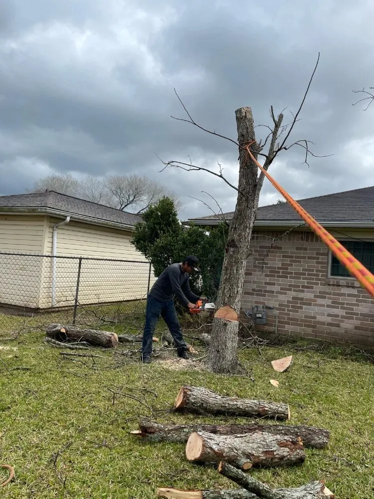 Affordable lawn mowing service experts serving Houston, TX - Anival's Landscaping