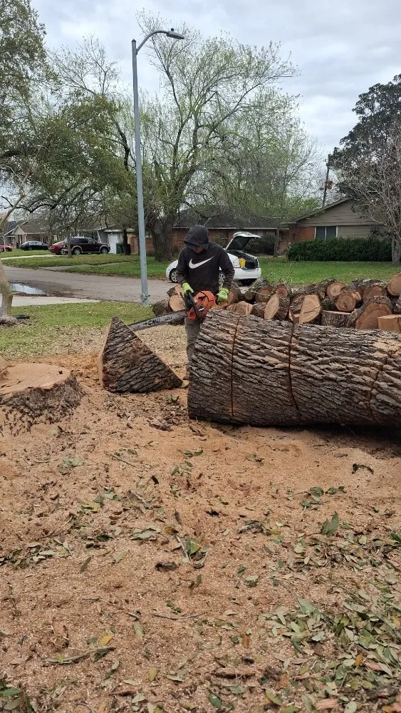 Expert garden landscaping with custom design across Houston, TX - Anival's Landscaping