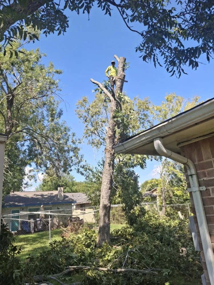 Affordable garden landscaping near you across Houston, TX - Anival's Landscaping