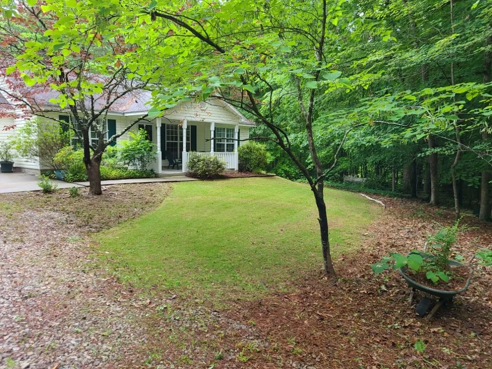 Affordable yard cleanup service for homes in Fayetteville, GA by Anj Exterior Maintenance