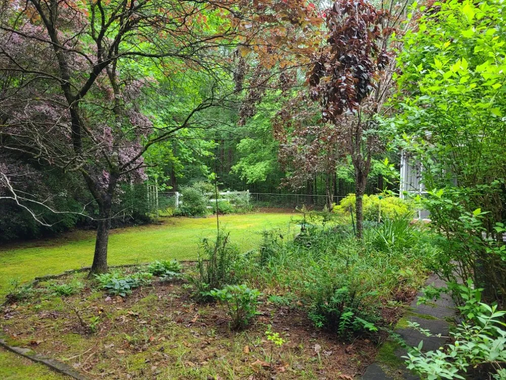 Reliable lawn mowing service in Fayetteville, GA - Anj Exterior Maintenance