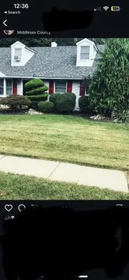 AnJ Landscaping Logo