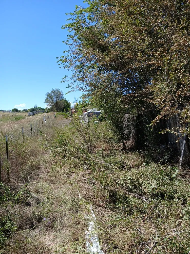 Local lawn care service in Roswell, NM - AnJ Landscaping