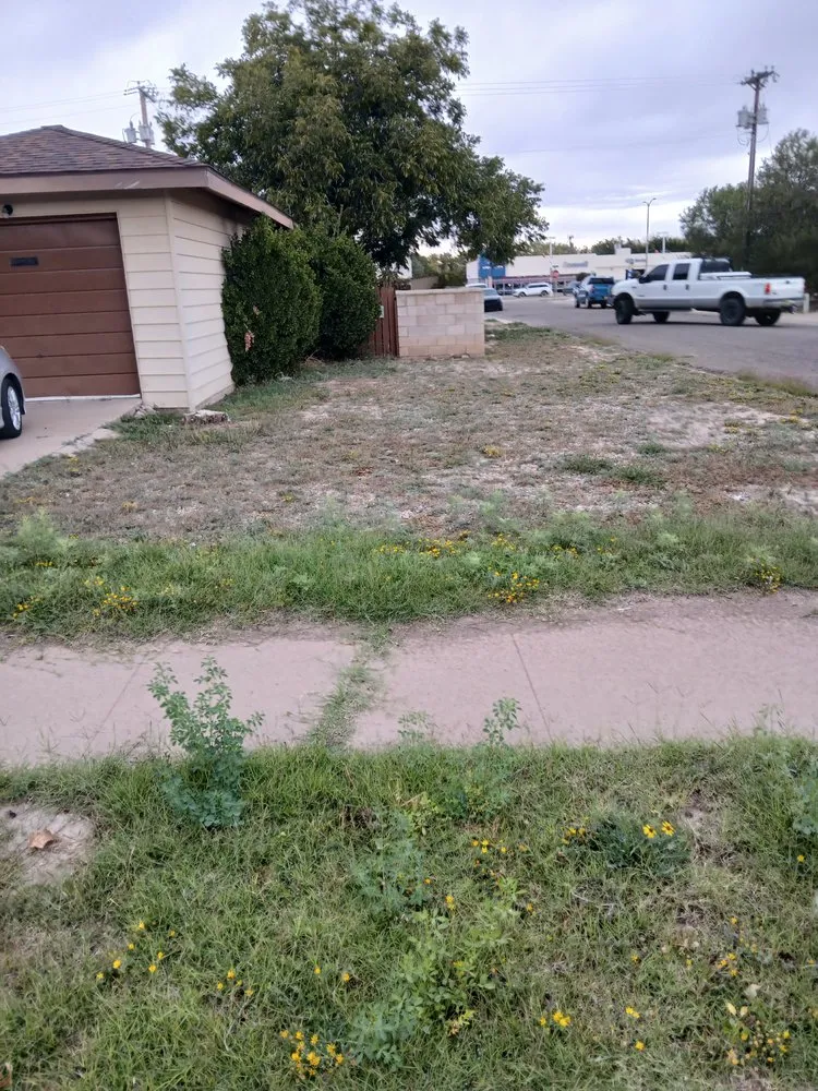 Reliable yard cleanup service for homes across Roswell, NM - AnJ Landscaping