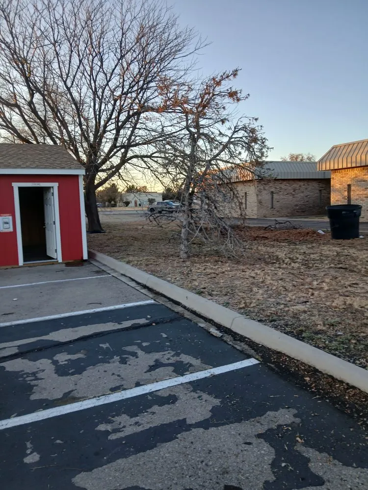 Custom lawn care service for beautiful yards in Roswell, NM by AnJ Landscaping