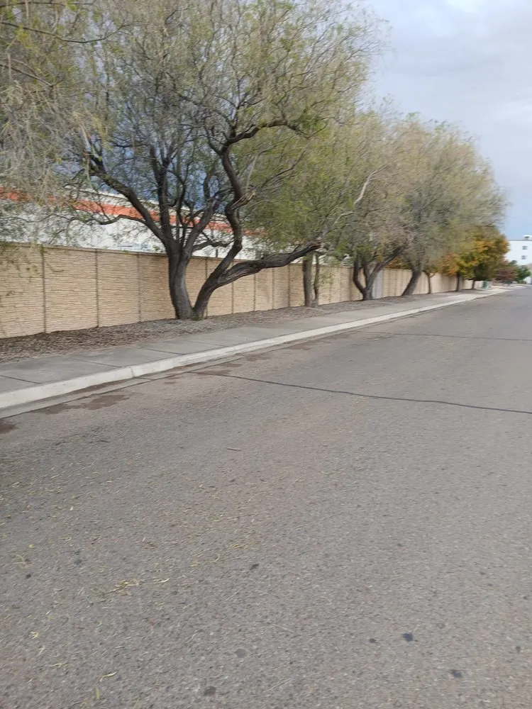 Expert landscape installation for beautiful yards across Roswell, NM - AnJ Landscaping