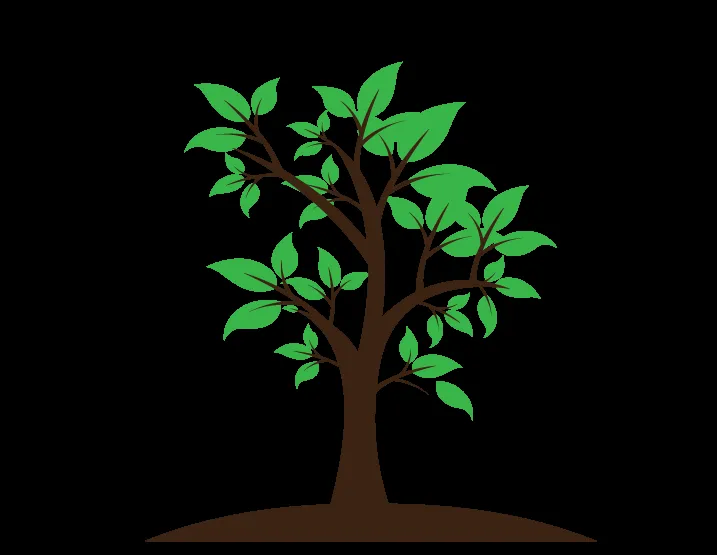 Trusted yard cleanup service in Ankeny, IA by Ankeny Tree Care