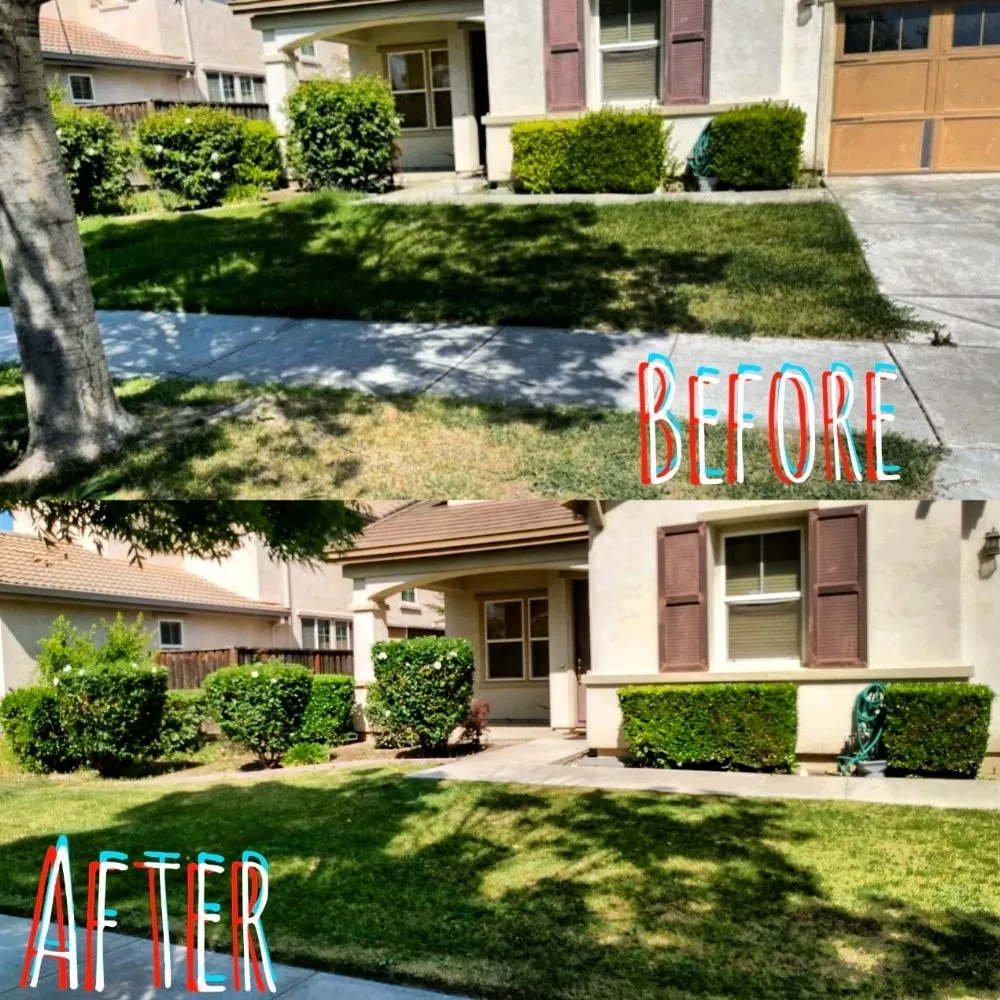 Expert garden landscaping near you across Tracy, CA - Anm Landscaping