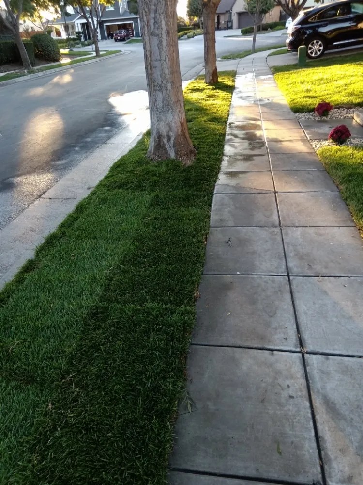 Top-rated outdoor landscaping in Tracy, CA - Anm Landscaping