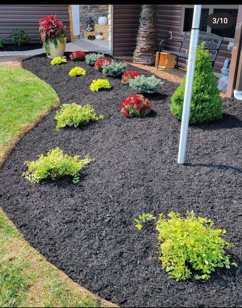 Trusted landscaping services in Tracy, CA by Anm Landscaping