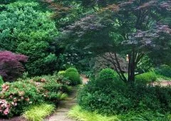 Expert landscaping services near you in Kennesaw, GA by Ann Johnson Design