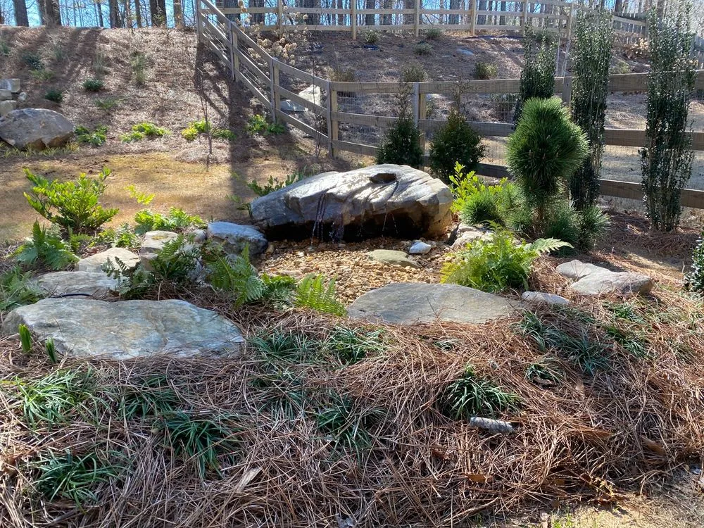 Trusted yard maintenance near you in Kennesaw, GA by Ann Johnson Design