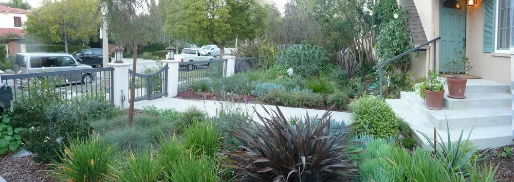 Local yard cleanup service for homes across Camarillo, CA - Anna Harrington Landscape Design