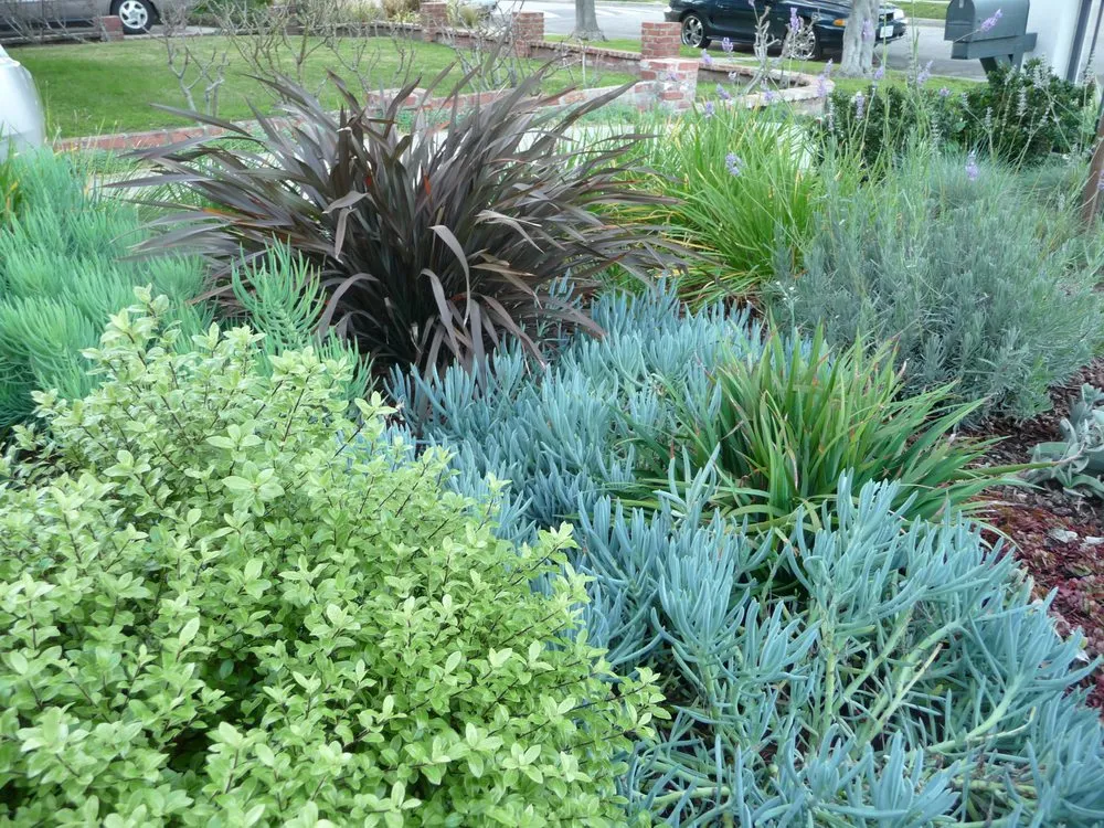 Expert landscape installation for outdoor upgrades across Camarillo, CA - Anna Harrington Landscape Design