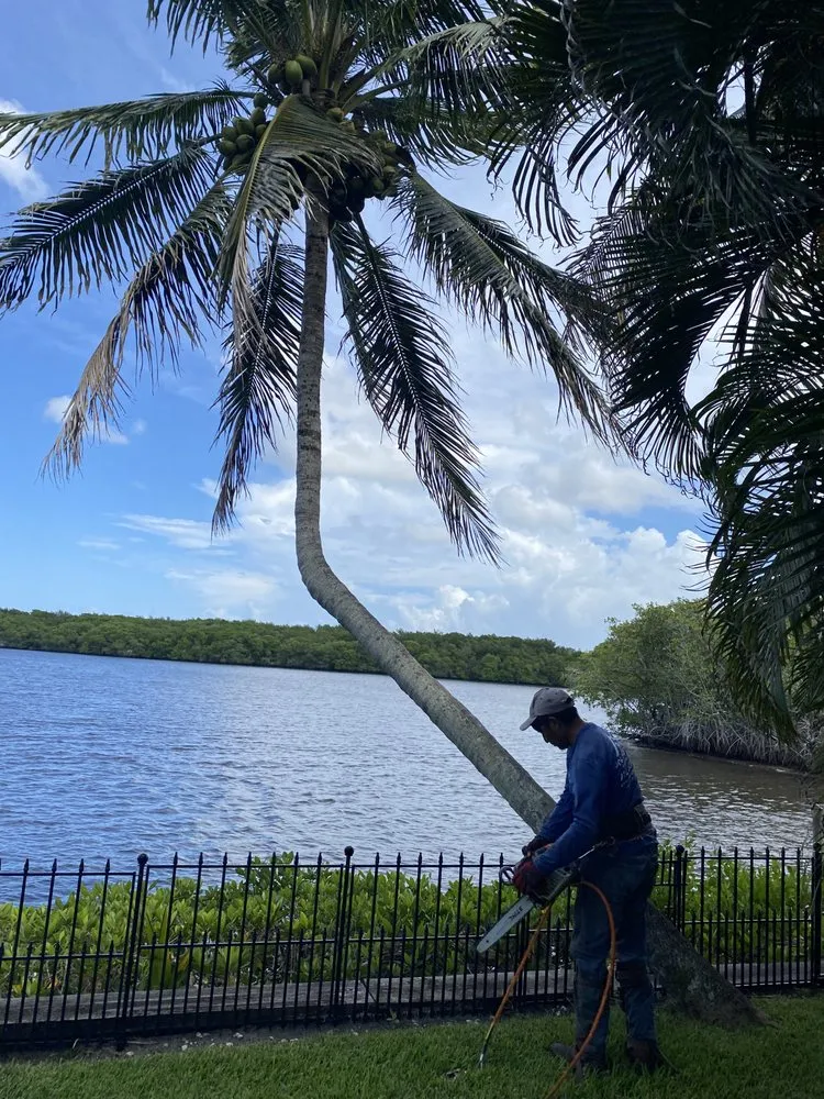 Custom landscaping services in Indiantown, FL by Anna Lawn Service