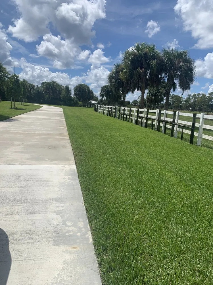 Expert yard cleanup service in Indiantown, FL - Anna Lawn Service