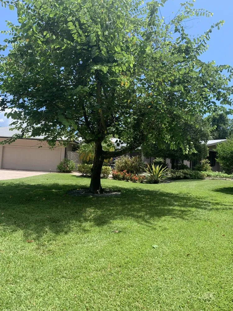 Professional outdoor landscaping in Indiantown, FL - Anna Lawn Service