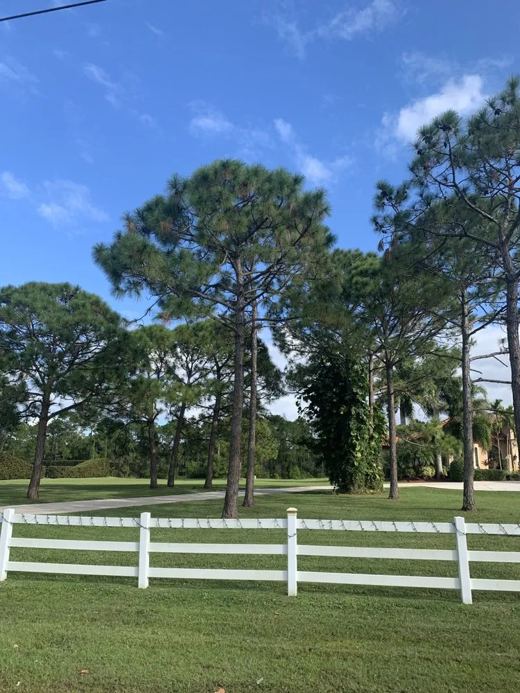 Reliable outdoor landscaping in Indiantown, FL - Anna Lawn Service