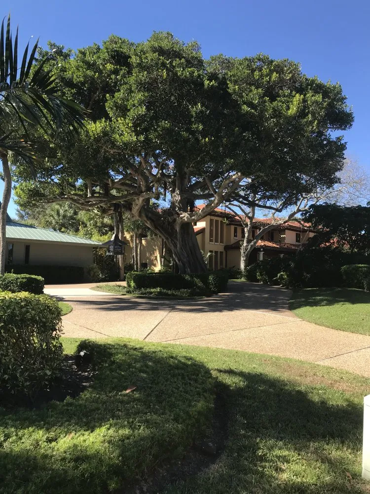 Top-rated yard cleanup service for residential properties in Indiantown, FL by Anna Lawn Service