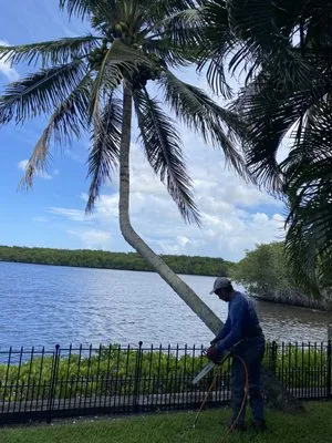 Anna Lawn Service Logo