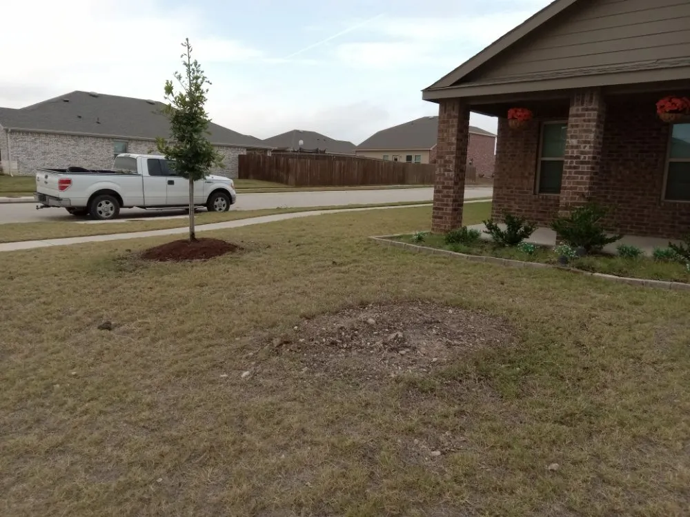Top-rated yard cleanup service near you in Anna, TX by Anna Mowing and Landscapes