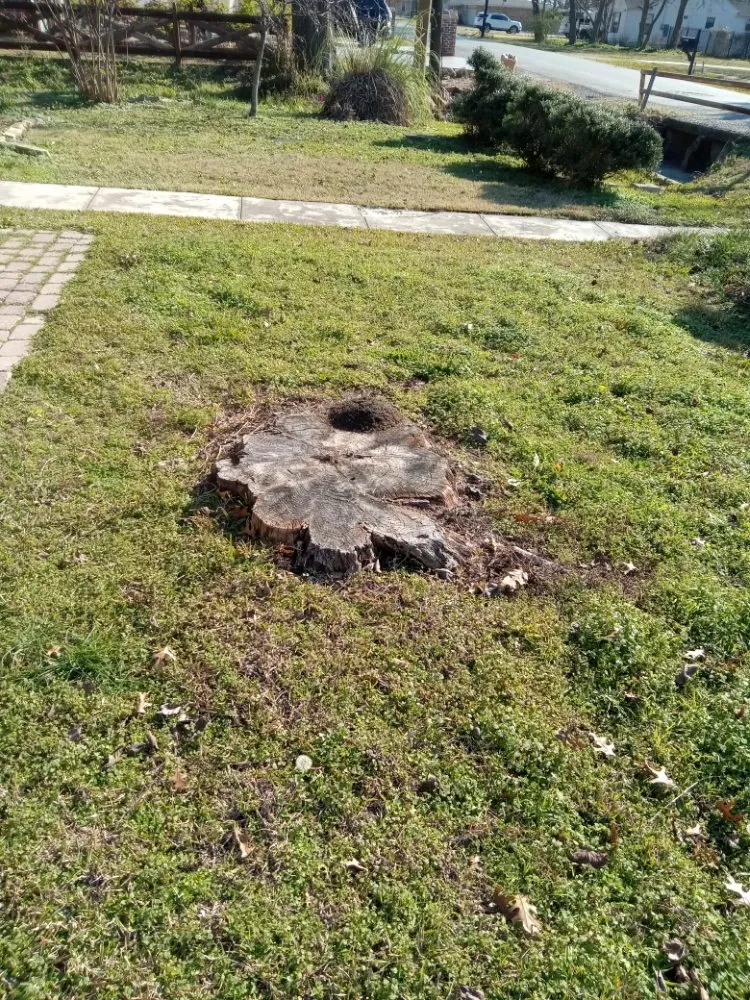 Top-rated outdoor landscaping experts serving Anna, TX - Anna Mowing and Landscapes